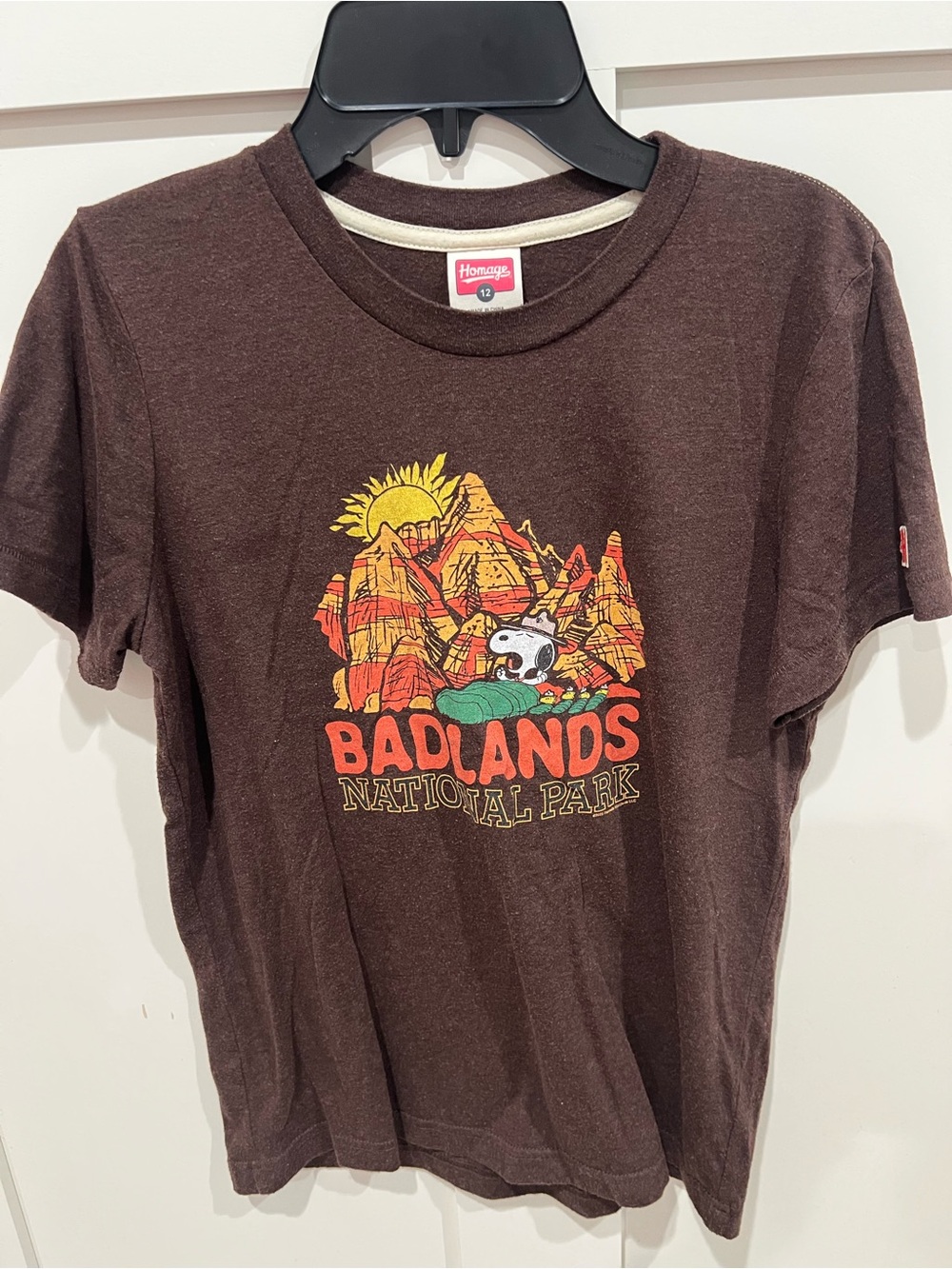 HOMAGE Brown Badlands National Park Graphic Tee with Orange & Yellow Print